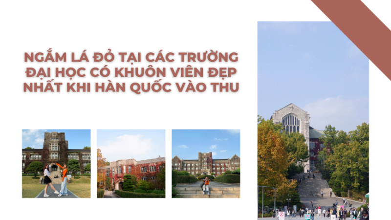 Dạo quanh khuôn viên Đại học Yonsei (3 ảnh bên trái) và Đại học nữ Ehwa (bên phải). (Ảnh: Trần Hải Anh)