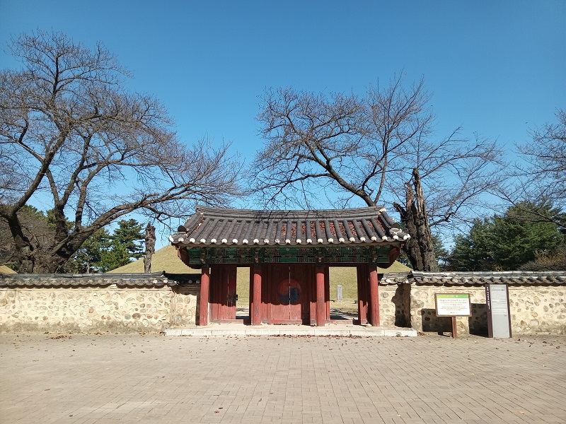 Quần thể lăng mộ hoàng gia Daereungwon là khu di tích lịch sử nổi tiếng ở Gyeongju. (Ảnh: Lưu Thị Thu Loan)