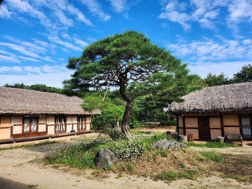 Le hanok ou j'ai passé la nuit.