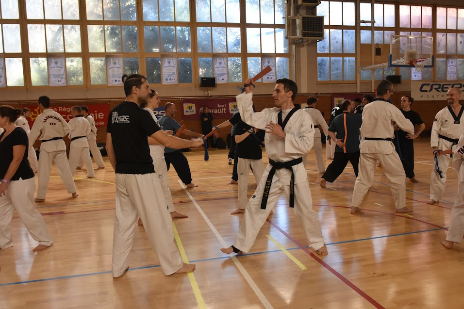 Des stagiaires pratiquants habituellement des arts martiaux différents apprennent tous ensemble le Hopeasool avec le Grand-Maître Do Ki-Hyun .( Photo Daniel Formichi)