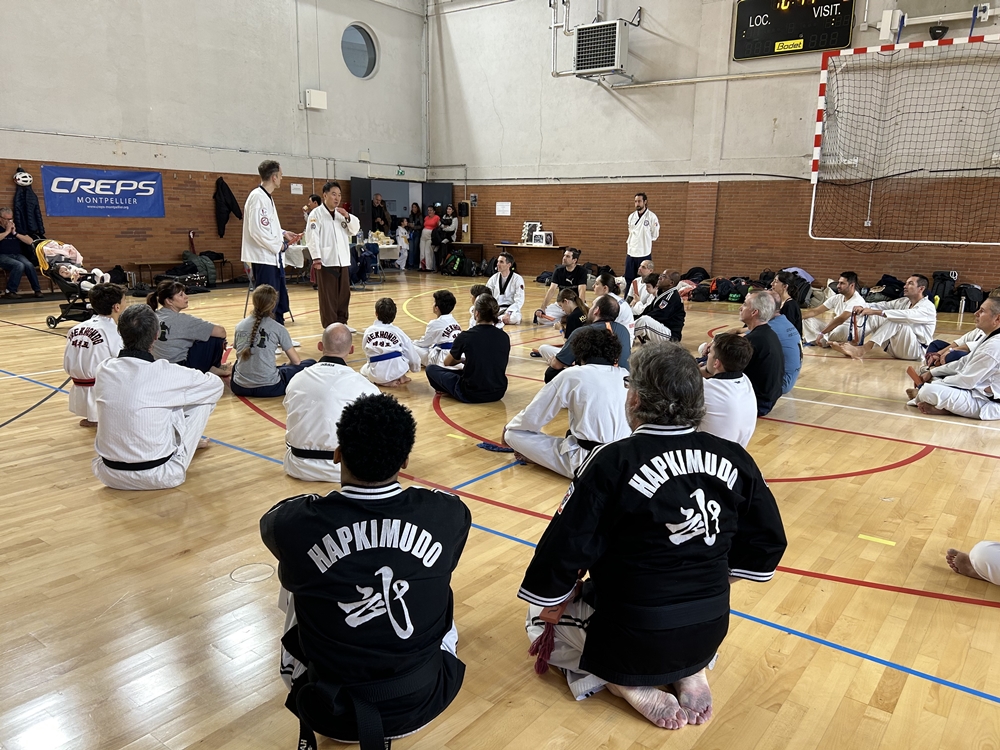 Stage avec le Grand- Maître Do Ki-Hyun , assisté de Maître Jean-Sébastien Bressy et Martin Minarik pour le Taekkyon ( Photo : Daniel Formichi)