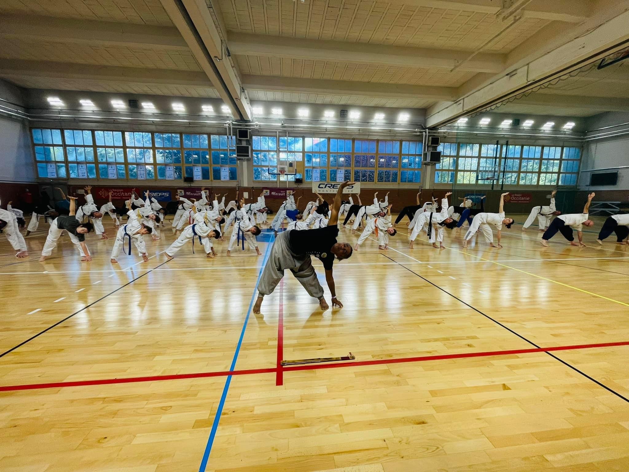 Stage avec le Maître Franck Delevallez // Sonmudo. ( Photo : Daniel Formichi)