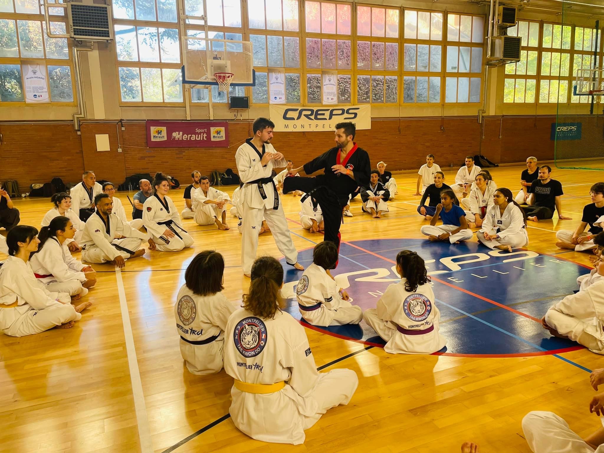 Stage avec le Maître Mathieu Damiano // Taekwondo contact. ( Photo : Daniel Formichi)