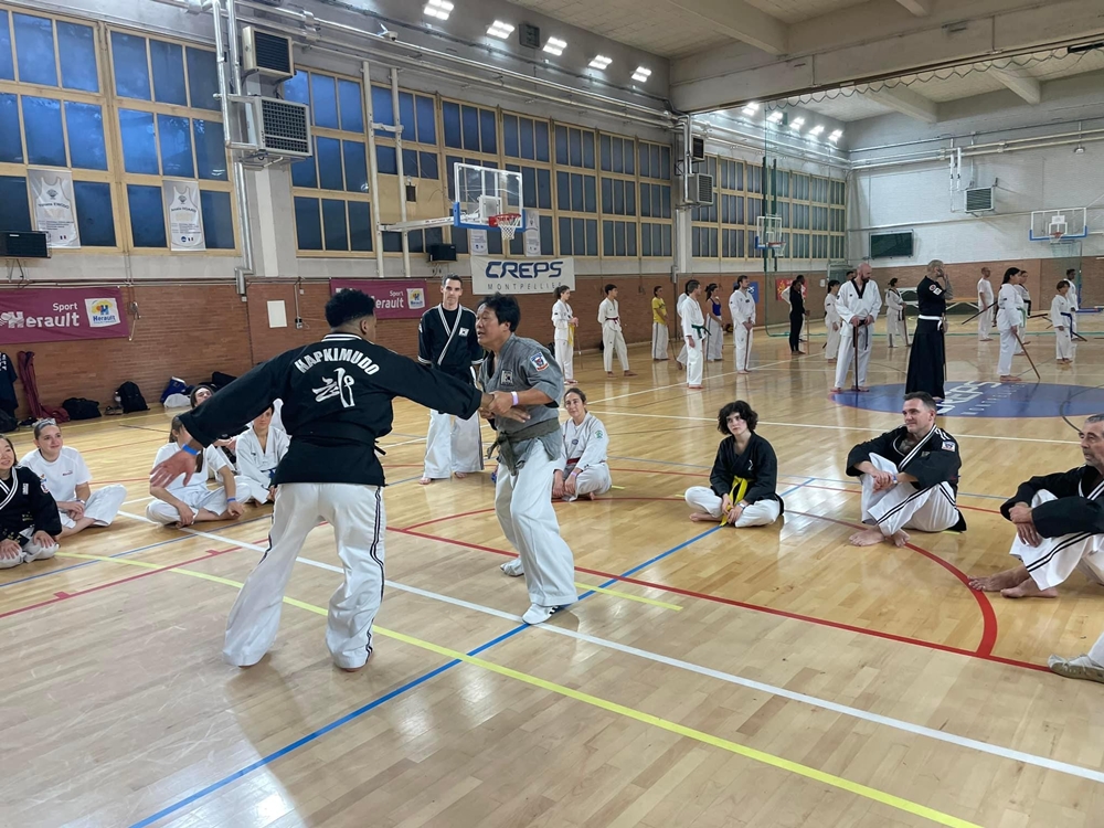Stage avec le Grand-Maître Lee Kang-jong // Hapkimudo ( Photo : Daniel Formichi)