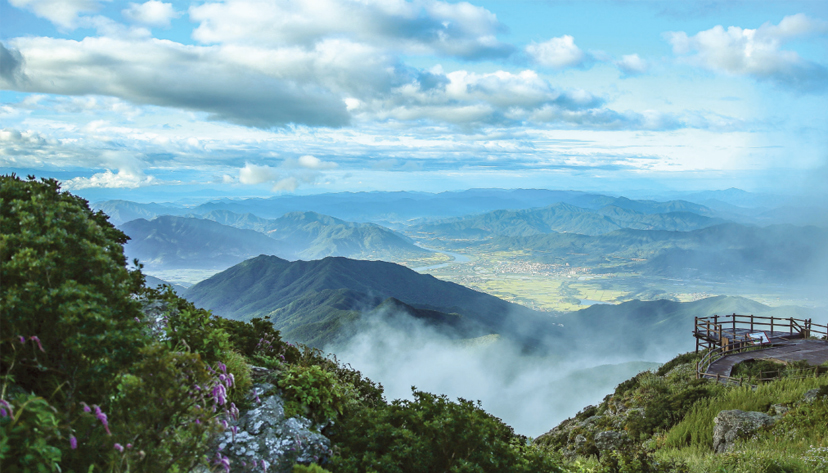 Nature and Healing : Korea.net : The official website of the Republic ...