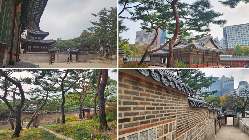 Deoksugung là một trong 5 cung điện còn sót lại từ triều đại Joseon. Quang cảnh xung quanh Deokhongjeon hay còn gọi là Đức Hoằng Điện. (Ảnh: Nguyễn Phương Anh)