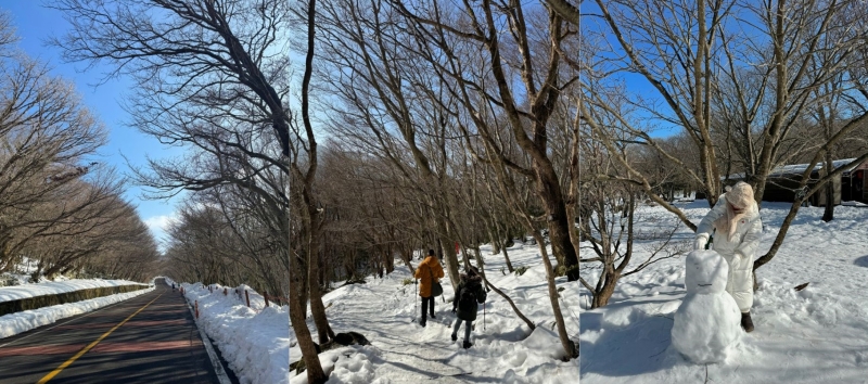 Bạn có thể leo núi một đoạn ngắm cảnh rồi chơi đủ các trò chơi với tuyết. (Ảnh: Nguyễn Mai Hạnh)