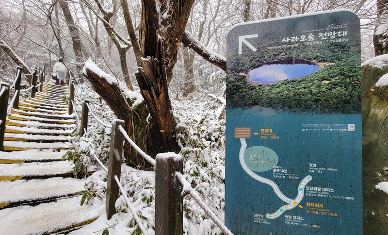 汉拿山纱罗岳的入口处，往上走大约600米就能抵达山顶火口湖和纱罗岳展望台。韩宣网名誉记者张欣蕾 摄