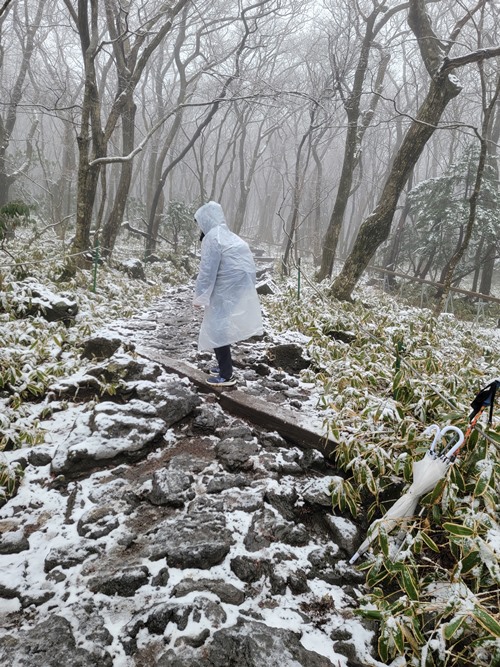 下雪的汉拿山路面湿滑，必须小心翼翼地注意脚下的路况。韩宣网名誉记者张欣蕾 摄