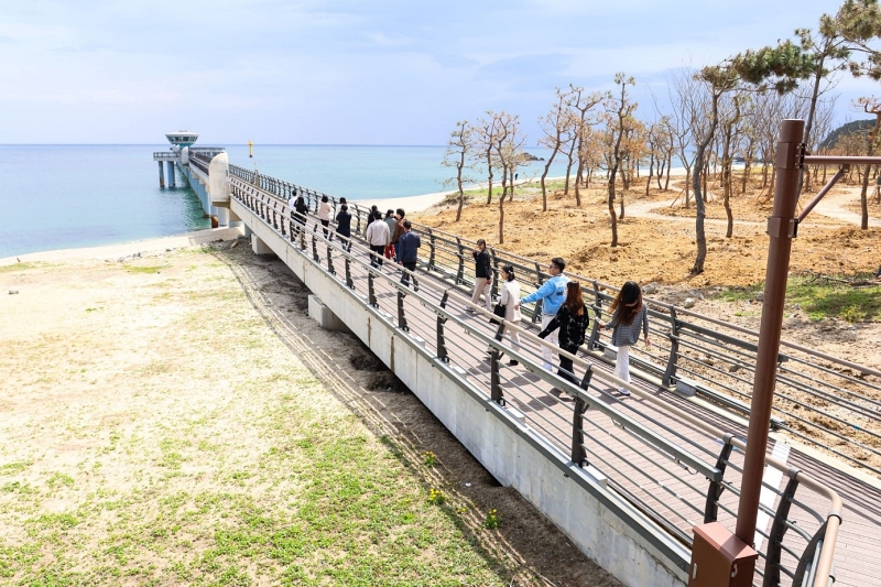 Các đại biểu thanh niên tham quan Bảo tàng Khoa học Đại dương Quốc gia Hàn Quốc (KOSM). (Ảnh: Đối tác Quản lý môi trường biển Đông Á)
