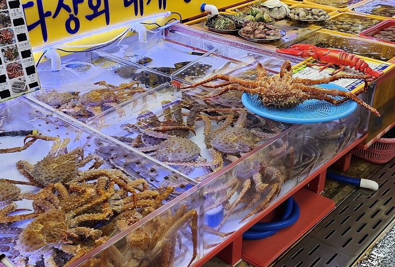 La foto muestra un puesto de venta de crustáceos y frutos de mar en el mercado Jagalchi en Busan. 