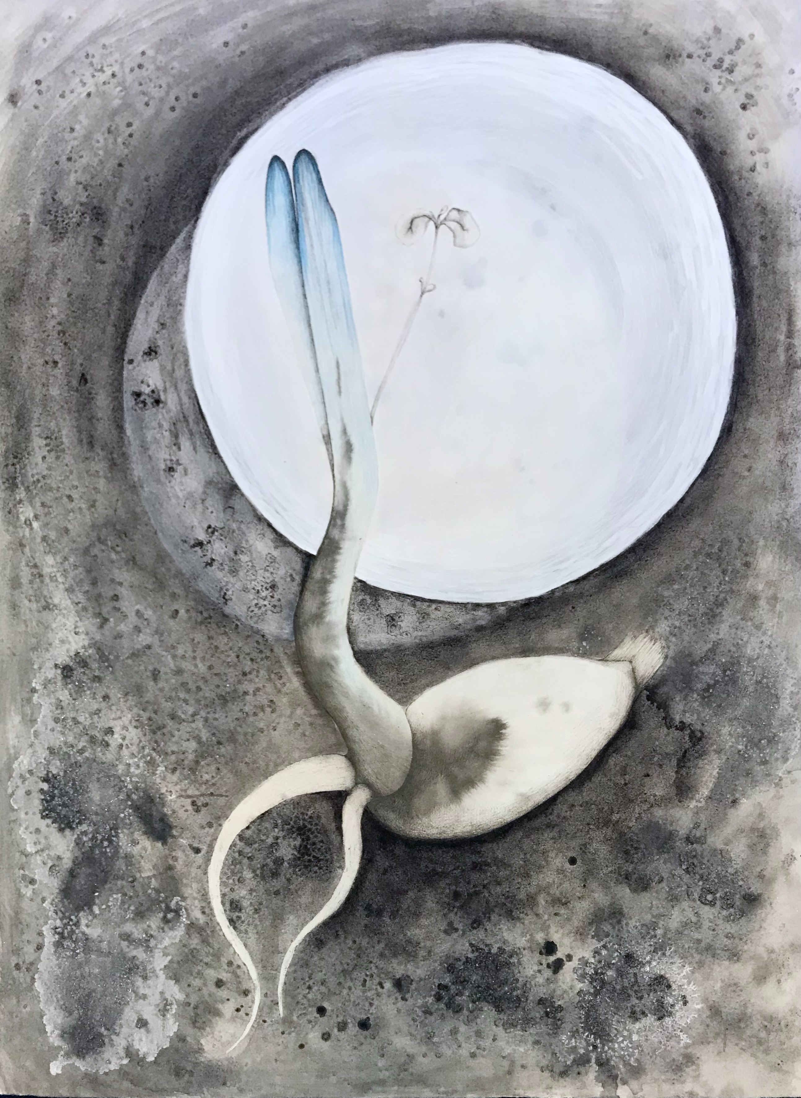 « Still Life » de la série « Fleurs sauvages », encres, sel, acrylique et crayon sur papier aquarelles Arches 56x76cm, 2023. © Nan Müller
