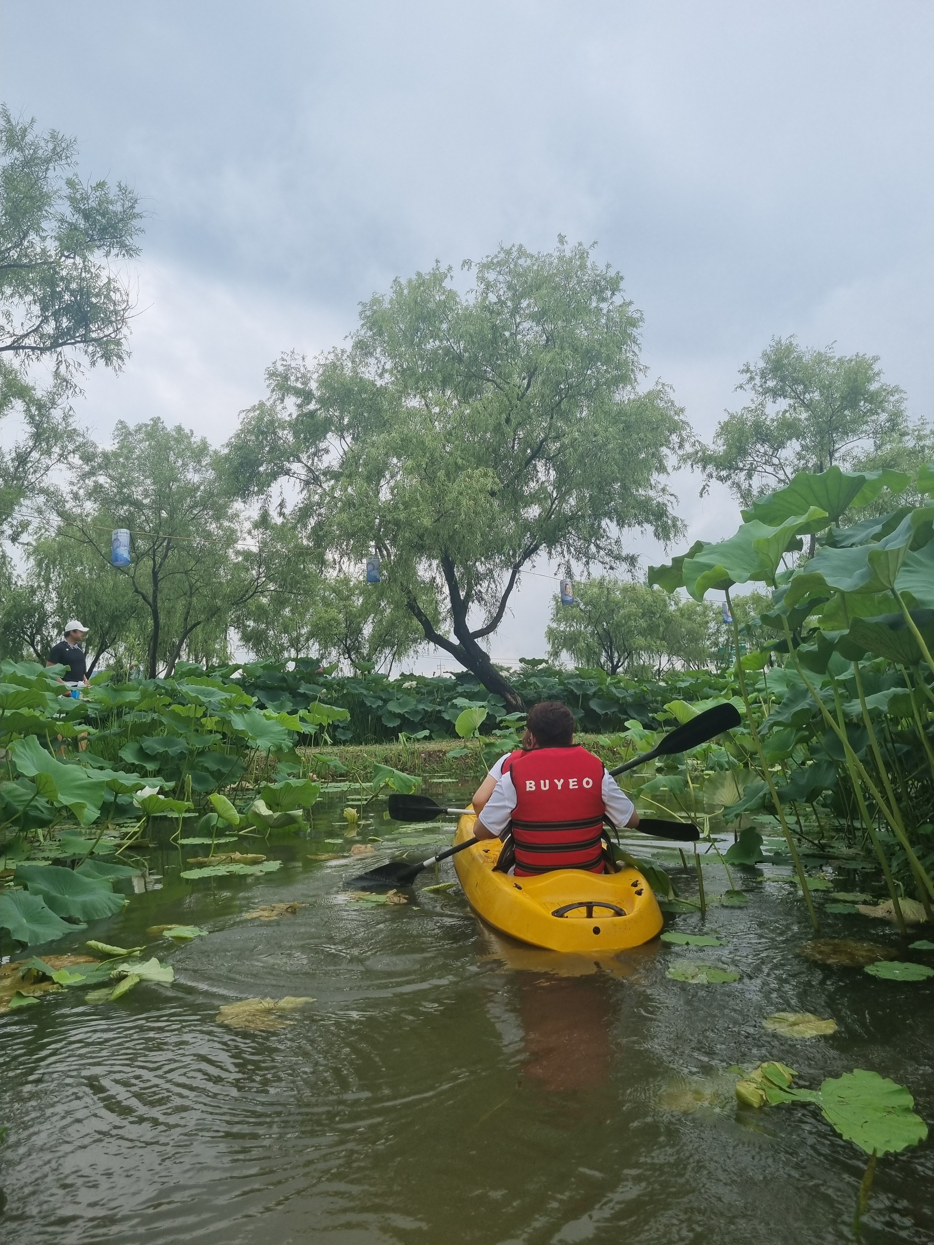 Expérience de kayak au milieu des fleurs de lotus. © Caroline Brami