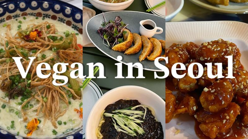 Die Ehrenberichterstatterin Venus Hemmat stellt Ihnen vegane Restaurants in Seoul vor.