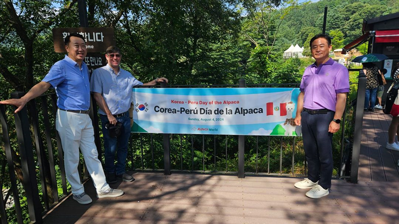 El 4 de agosto, la Embajada del Perú en Corea festeja el Día de la Alpaca, en Alpaca World, un zoológico ubicado en el condado de Hongcheon, en la provincia de Gangwon-do. Ese día, el embajador peruano en Corea, Paul Duclos (segundo desde la izda.), representantes de Corea y la comunidad participaron en el evento. 