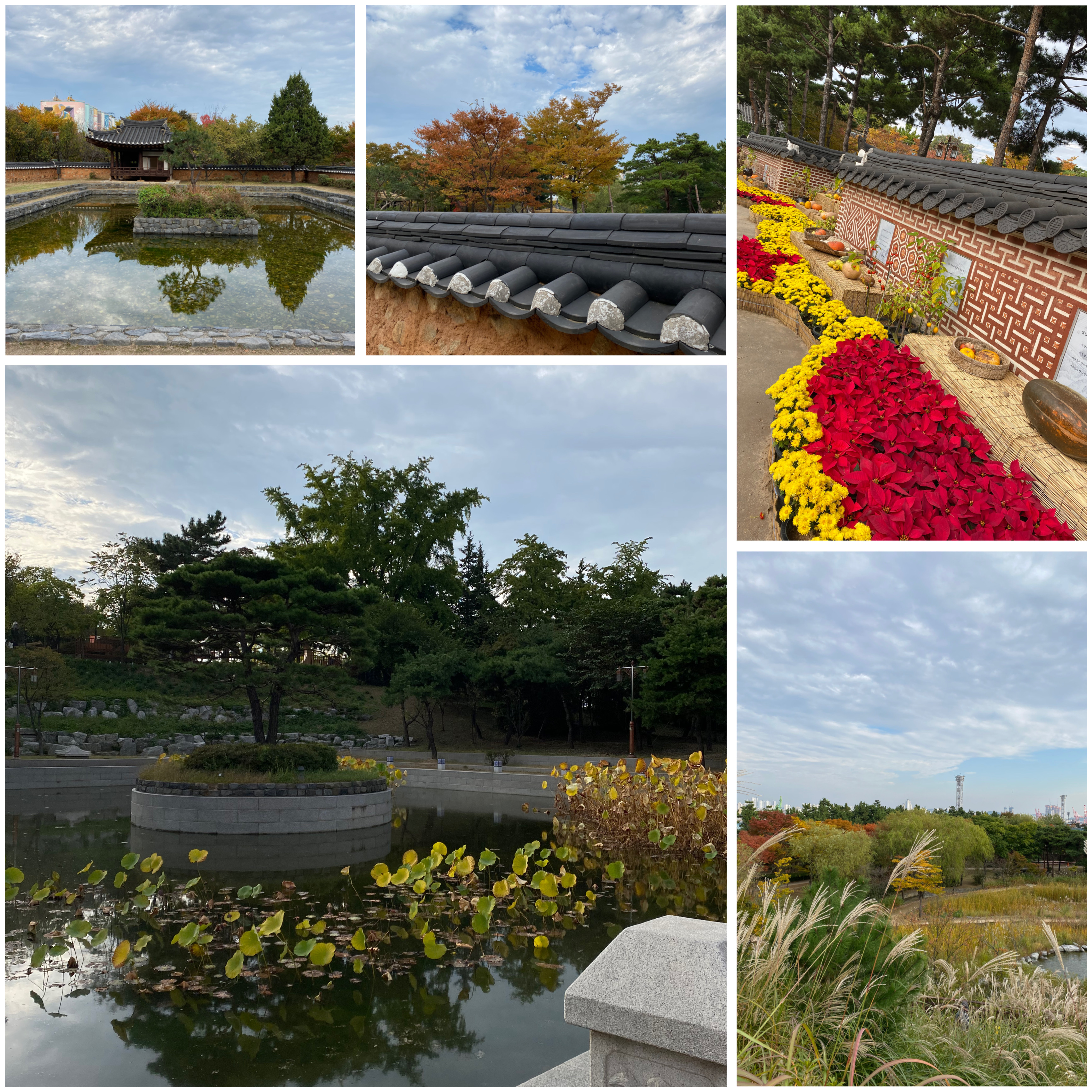 Im Herbst zeigt sich der Park in bunten Farben und hebt die koreanische Architektur besonders hervor.