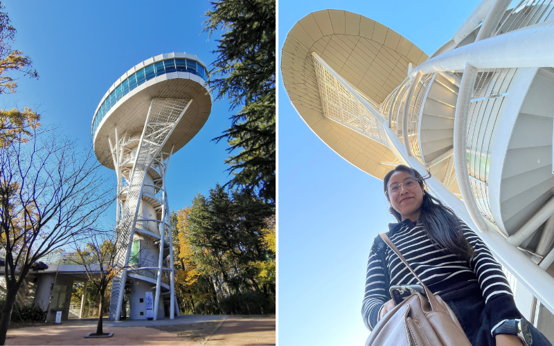 Las fotos capturan la vista desde la base de la torre de observación en el parque Sajik de Gwangju. Imagen capturada en noviembre de 2023.