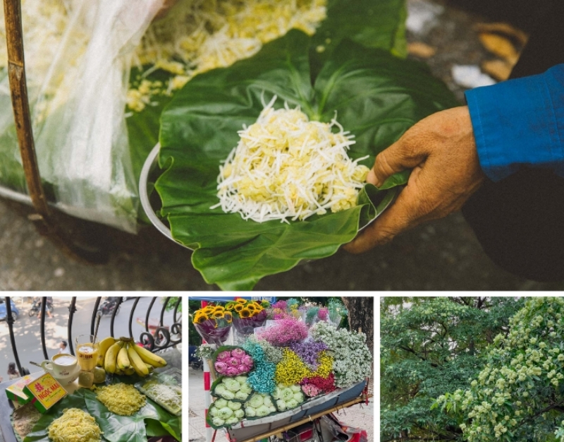 Mùa thu Hà Nội nồng nàn hoa sữa và cốm - thức quà từ lúa non. (Ảnh: Bùi Văn Tuyên)