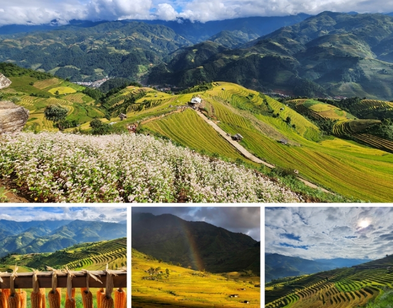 Vẻ đẹp nên thơ mỗi mùa thu về tại Mù Cang Chải. (Ảnh: Ngô Trung Dũng, Thiết kế bởi: Bùi Văn Tuyên)