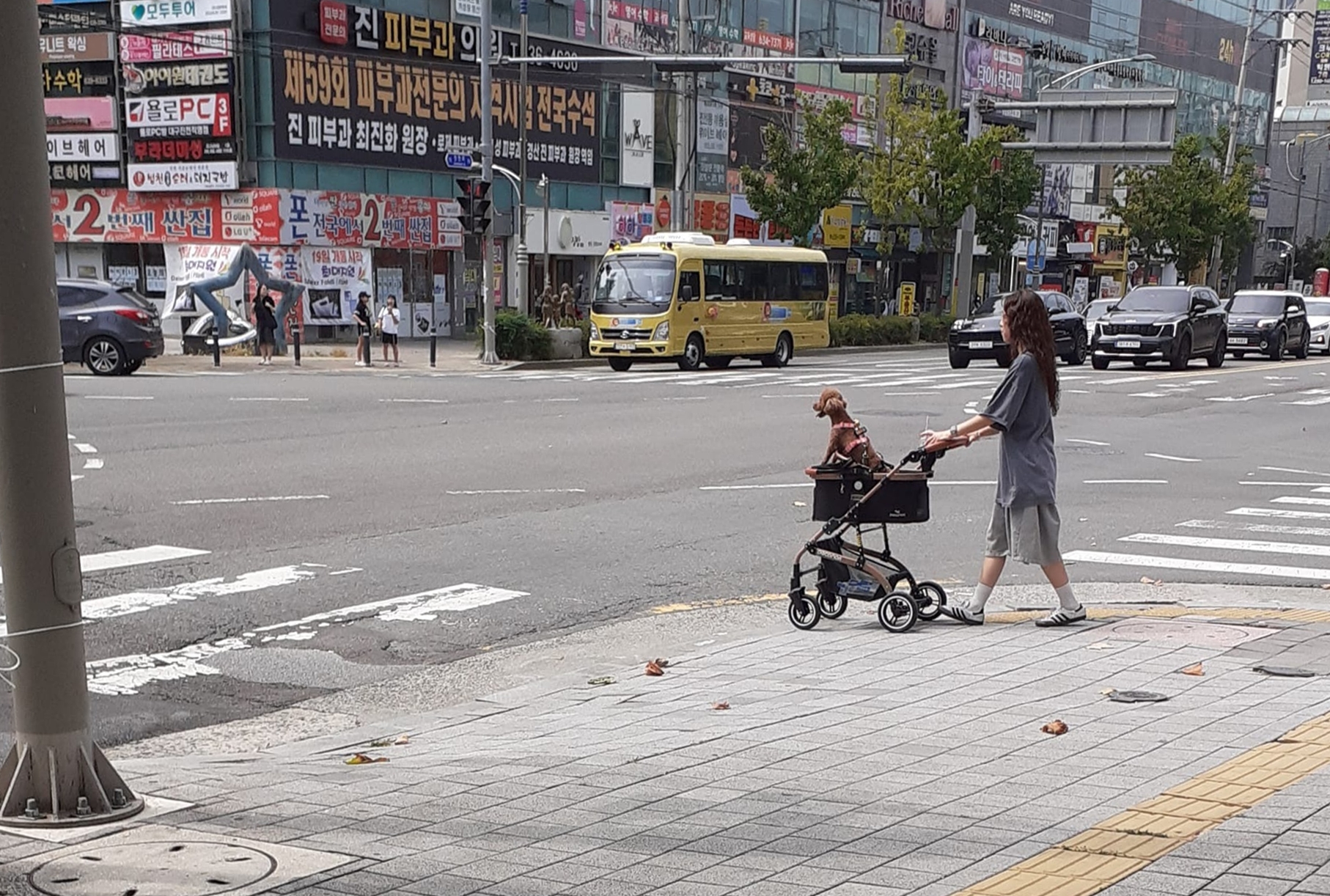 La promenade de toutou à Daegu. © Nathalie Fisz