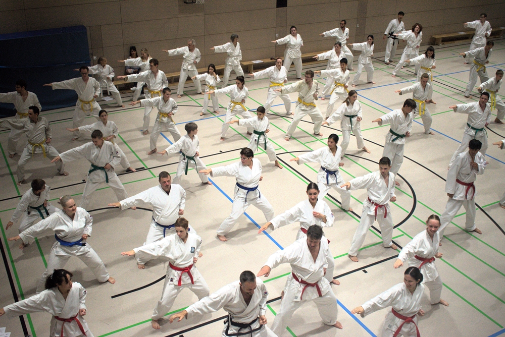 Großmeister Kang (hier oben rechts zu sehen) leitet das Taekwon-Do-Hyong-Seminar bereits seit zehn Jahren