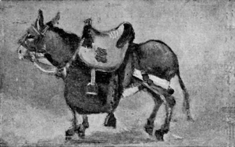 El burro de un funcionario coreano en 1891 | Dibujo de A. H. Savage Landor