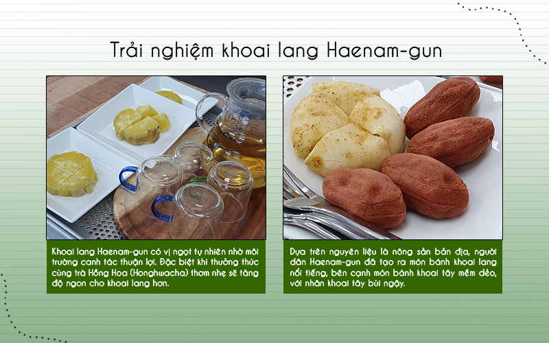 Khoai lang huyện Haenam-gun (ảnh trái) sở hữu phần thịt khoai ngọt hơn các vùng lân cận vì chúng được canh tác trên điều kiện khí hậu, thổ nhưỡng thuận lợi. Đặc biệt, khoai lang sẽ thêm dậy vị khi thưởng thức cùng Honghwacha (trà Hồng hoa). Mặt khác, món bánh khoai lang, bánh khoai tây (ảnh phải) đều cho thấy sức hấp dẫn khó quên với thực khách, khi cả vỏ và nhân bánh đều mềm mại, ngọt vừa, thơm nhẹ mùi khoai tự nhiên. (Ảnh: Vũ Đỗ Hải Hà) 