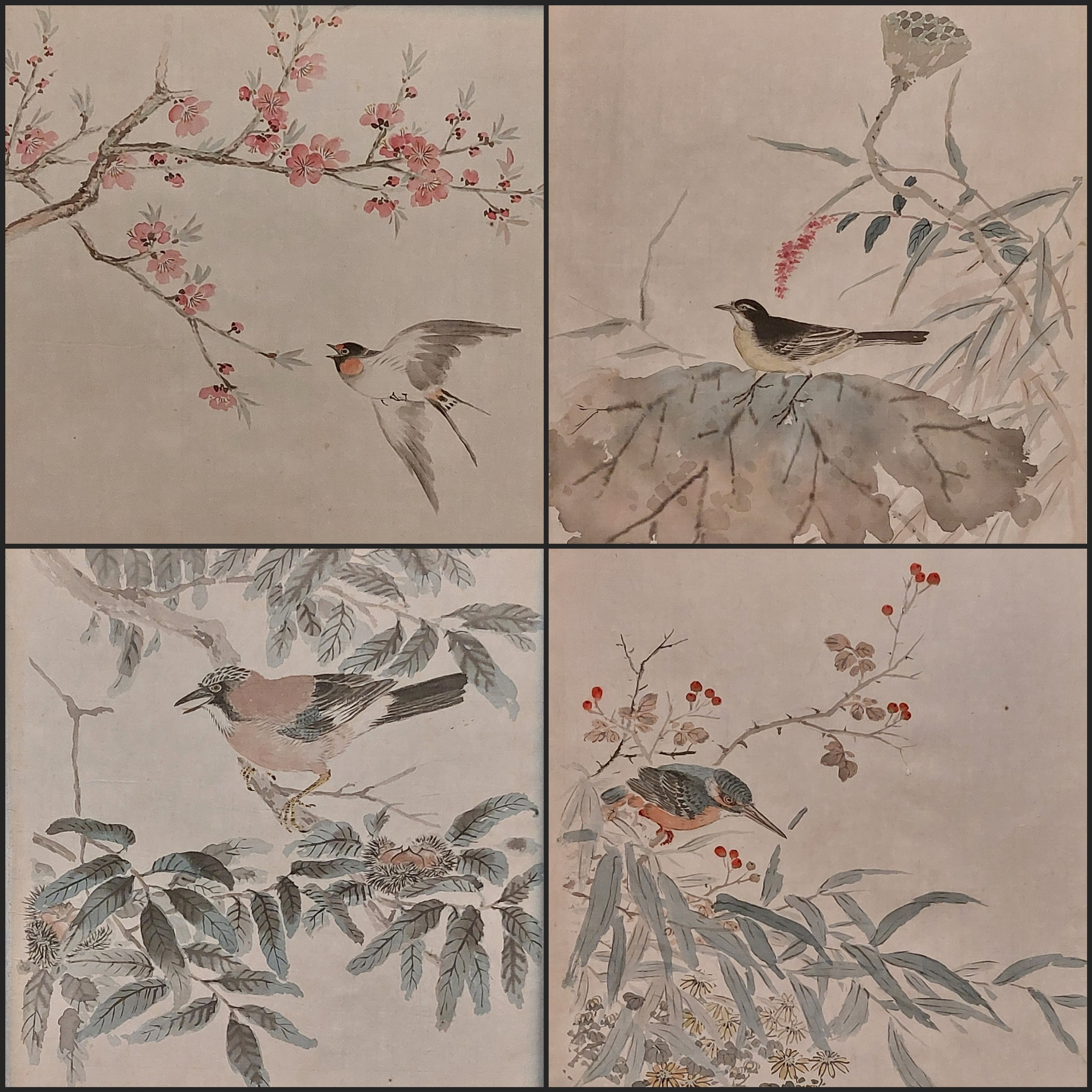 Série de peintures d'oiseaux, exposée au Uijae Museum of Korean Art. © Emmanuelle Fourneyron