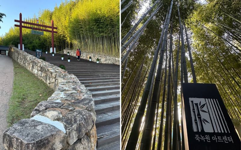 Naturfreunde sollten Damyang mit seinem erfrischenden Bamboo Forest unbedingt besuchen © Jasmin Mikolay