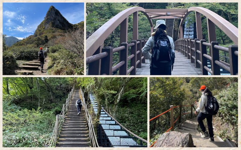 Se muestra a la reportera honoraria Laura López Velázquez caminando en cuatro transectos diferentes del sendero Gwaneumsa en la montaña Hallasan