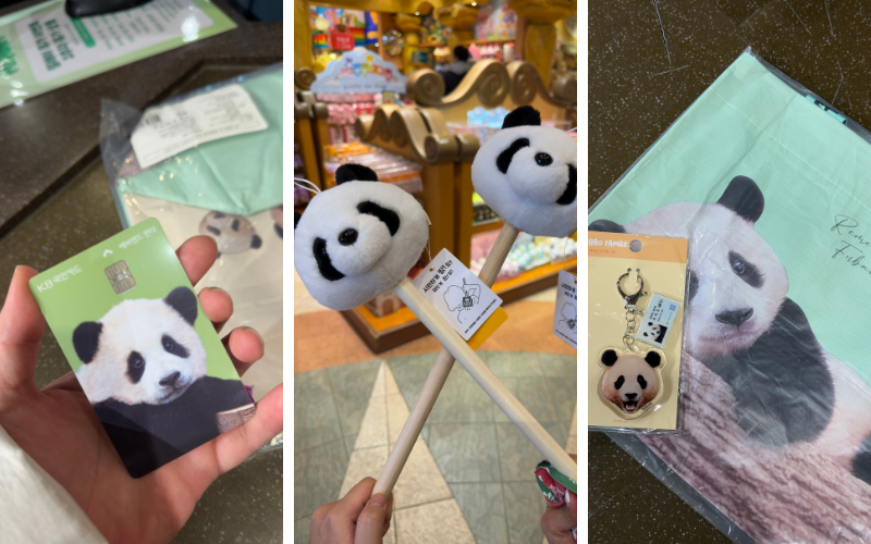 Panda Fanartikel - Ein Muss in Panda World bei Seoul