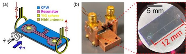 Photon-magnon hybrid chips developed by Korean and U.S. researchers