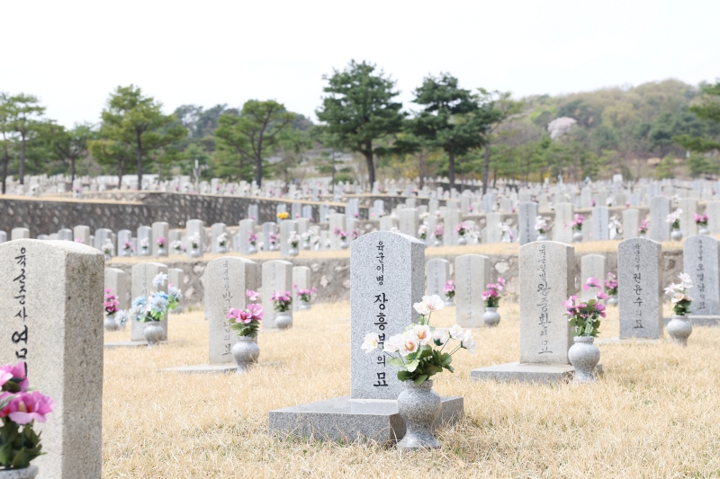 Các bia mộ tại Nghĩa trang Quốc gia Seoul, quận Dongjak-gu, thành phố Seoul. (Ảnh: Lee Jeong Woo / Korea.net)