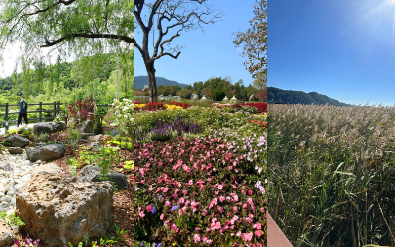 Koreas botanische Schönheit im Takt der Natur ©Jeong Woo Lee, Korea.net DB, Jasmin Mikolay