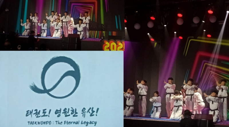Tiết mục biểu diễn Taekwondo cực kỳ công phu và năng lượng. (Ảnh: Vũ Lê Kim Oanh)