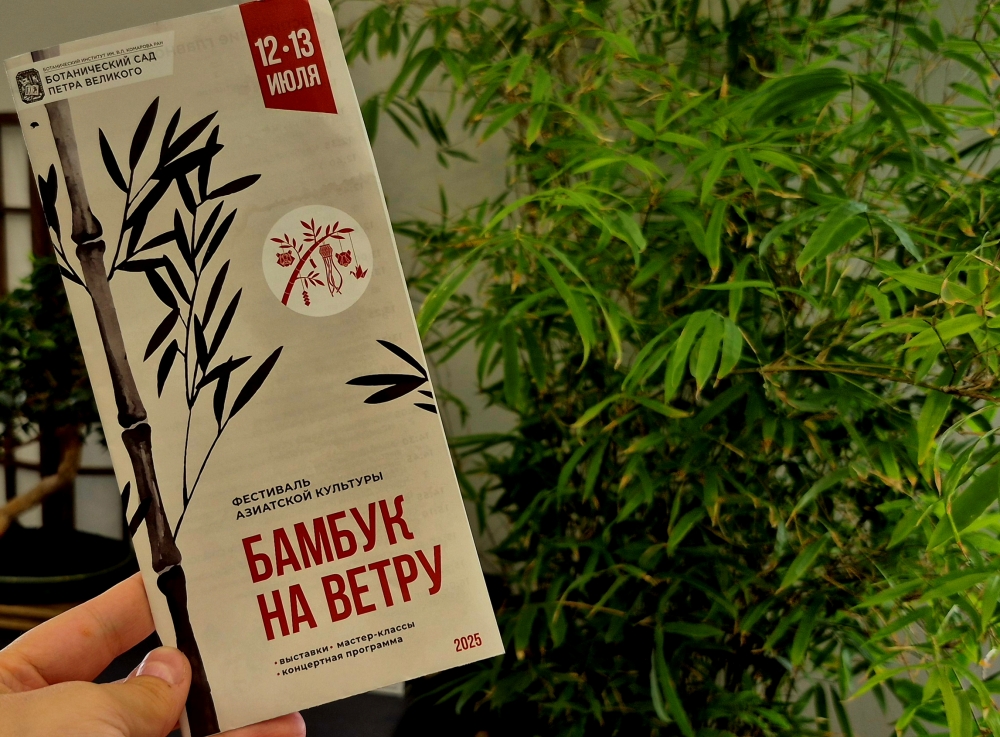 ﻿Программа фестиваля «Бамбук на ветру» на фоне выставки бонсай «Маленькие деревья большого города». / Фото: Мария Солодкова
