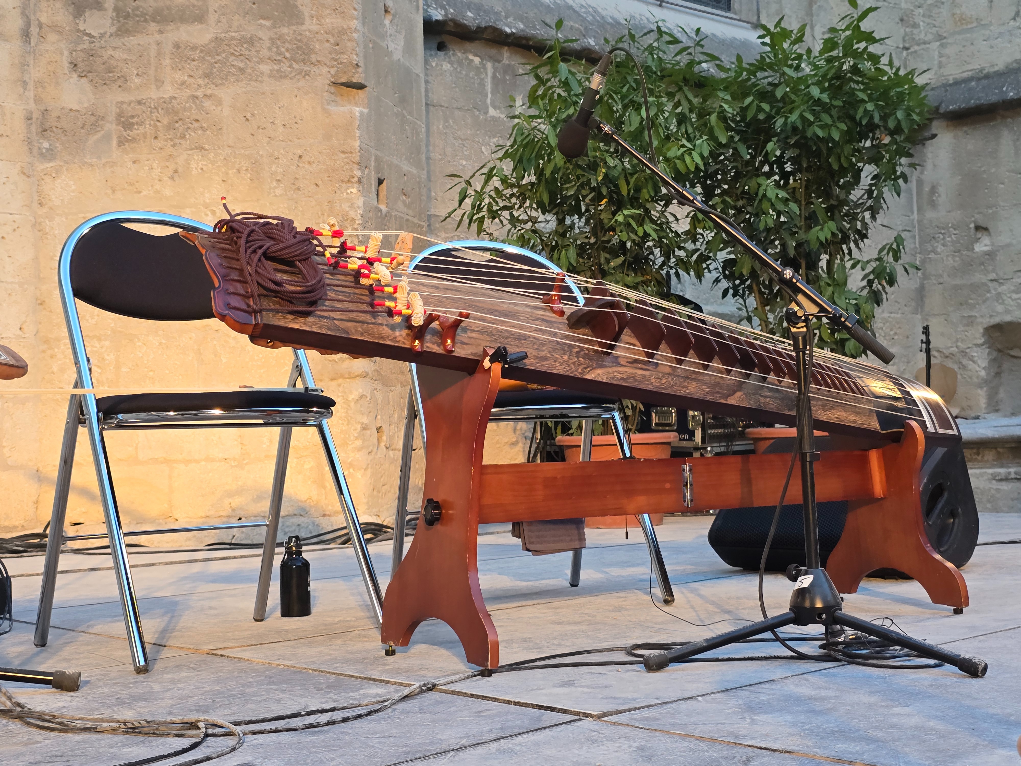 Le geomungo de Hwang Hye-young. © Christelle Frou