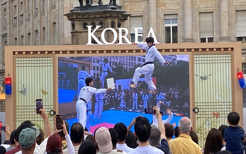  Das Taekwondo-Team in Action