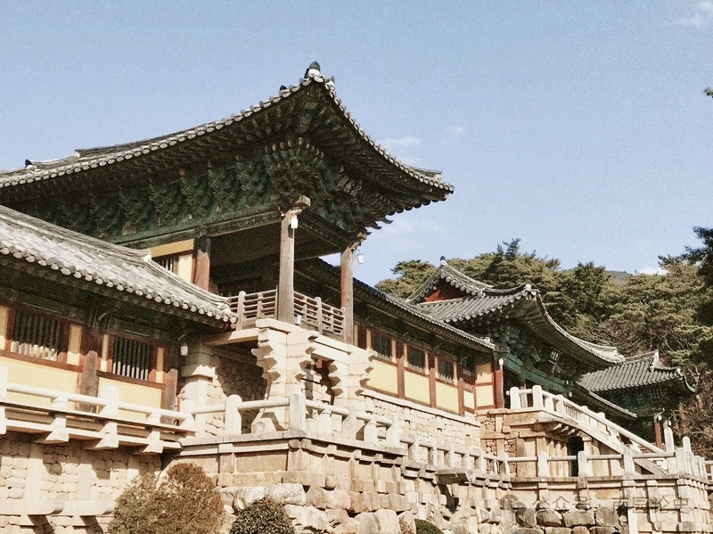 佛国寺松林低语，石阶青润光滑，瓦顶朱柱与金顶交相辉映。韩宣网名誉记者杨诗薇 摄