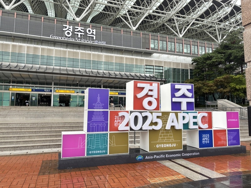 庆州的古迹与都市交融，APEC标志在雨雾间低语着古城的历史与即将到来的盛会。韩宣网名誉记者杨诗薇 摄