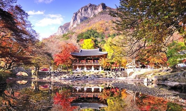 crop_usr_20241018_Naejangsan.jpg